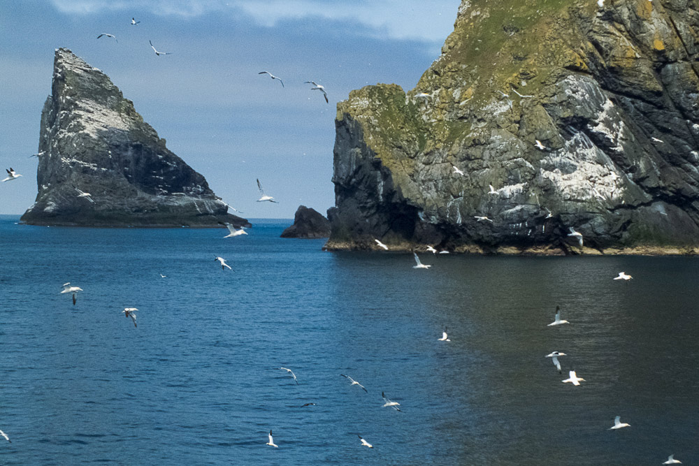 Boreray